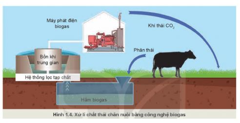 Công nghệ 11 Kết nối tri thức bài 1