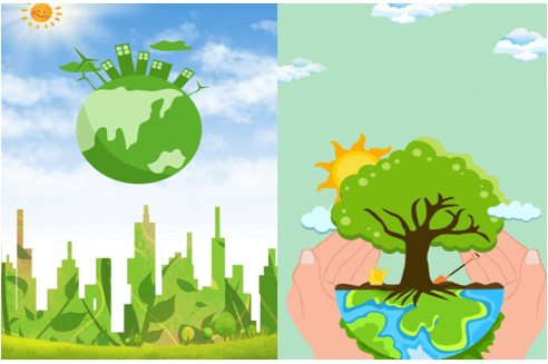 Em hãy thiết kế một sản phẩm sáng tạo mang thông điệp: “Mọi sự sống đều thiêng liêng, đáng quý”