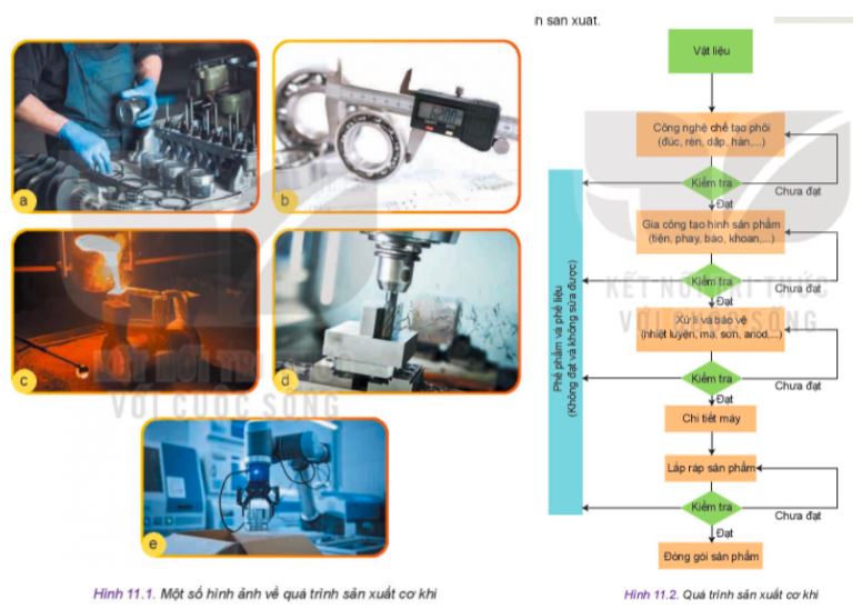 Công nghệ 11 Kết nối tri thức bài 11