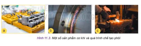 Công nghệ 11 Kết nối tri thức bài 11