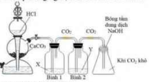 A diagram of a chemistry experiment AI-generated content may be incorrect.