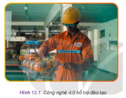 Công nghệ 11 Kết nối tri thức bài 13