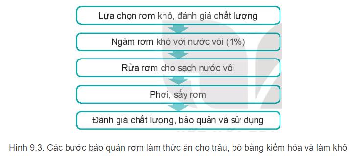 Công nghệ 11 Kết nối tri thức bài 9