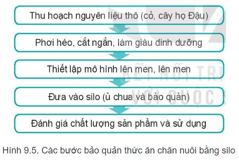 Công nghệ 11 Kết nối tri thức bài 9