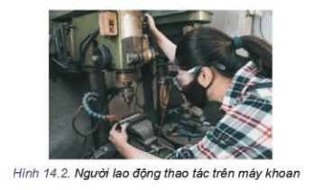 Công nghệ 11 Kết nối tri thức bài 14