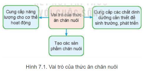 Công nghệ 11 Kết nối tri thức bài 7