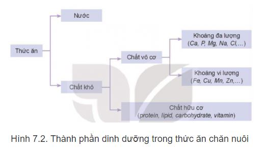 Công nghệ 11 Kết nối tri thức bài 7