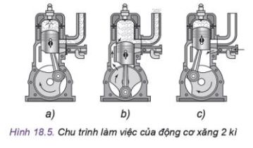 Công nghệ 11 Kết nối tri thức bài 18