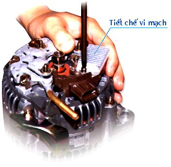 A close-up of a hand holding a screwdriver Description automatically generated