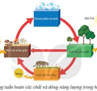 C:\Users\thu trang\Desktop\tải xuống.jpg