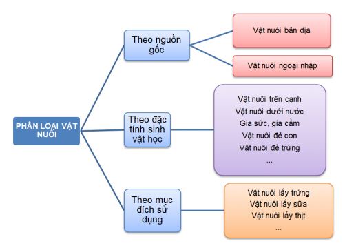 Công nghệ 11 Kết nối tri thức bài ôn tập chương 1