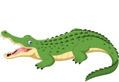 Vector cartoon crocodile isolated on white background