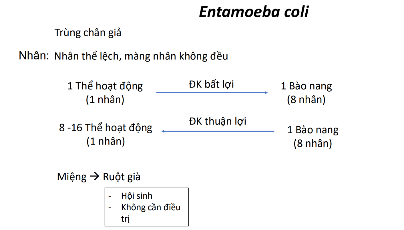 A white paper with black text and black text AI-generated content may be incorrect.