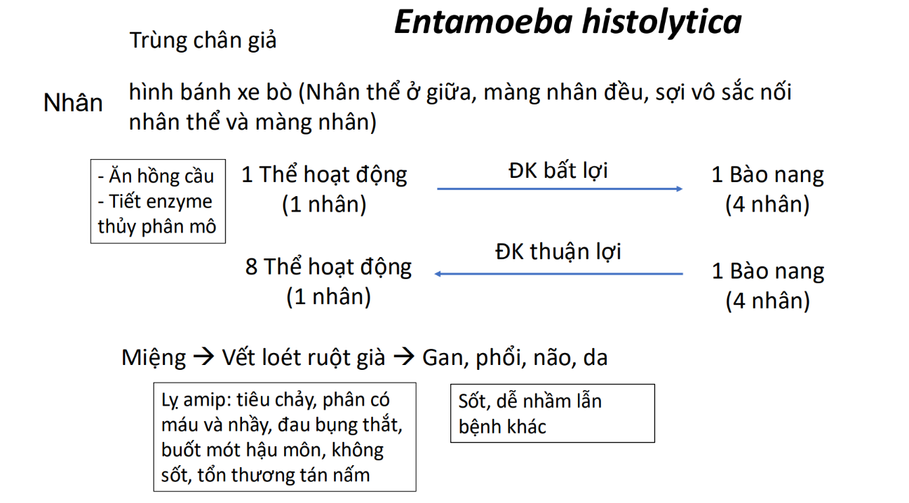 A screenshot of a computer AI-generated content may be incorrect.