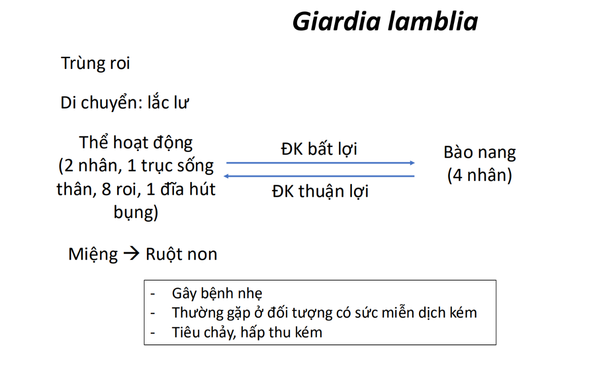 A white paper with black text and black text AI-generated content may be incorrect.