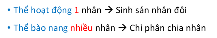 A black and red text AI-generated content may be incorrect.
