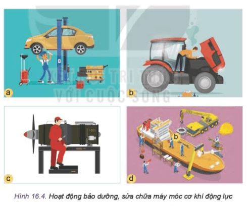 Công nghệ 11 Kết nối tri thức bài 16