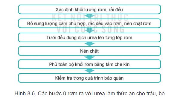 Công nghệ 11 Kết nối tri thức bài 8