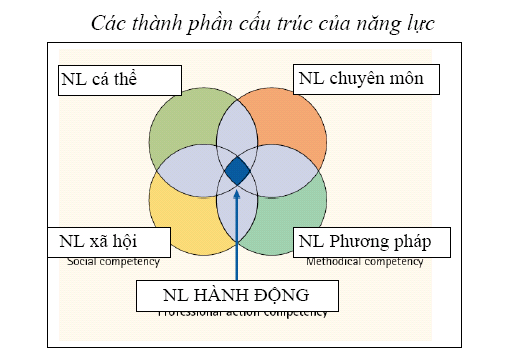 https://tusach.thuvienkhoahoc.com/images/d/d9/Mo-hinh-cau-truc-nang-luc.png