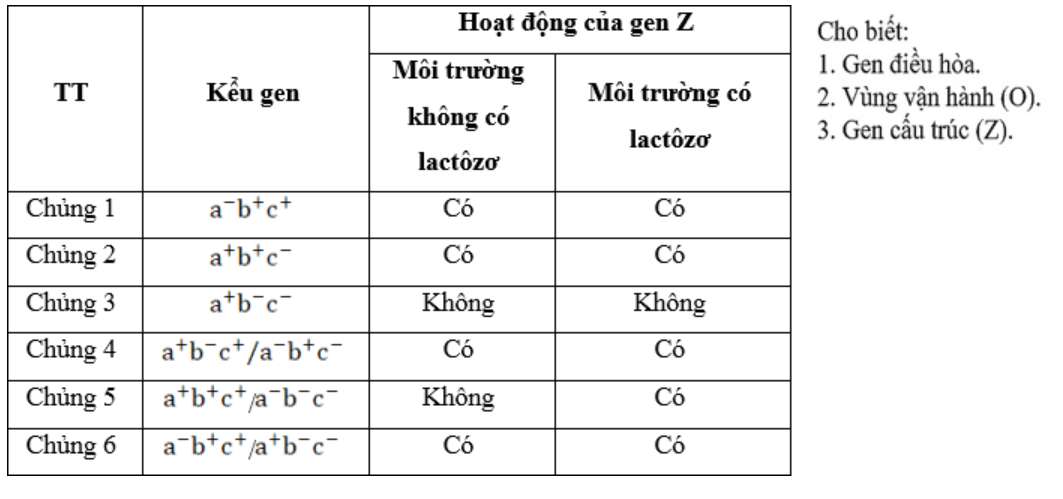 Ảnh có chứa văn bản, số, Phông chữ, ảnh chụp màn hình Nội dung do AI tạo ra có thể không chính xác.