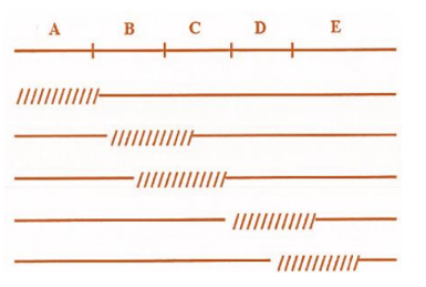 Ảnh có chứa hàng, Song song, thiết kế Nội dung do AI tạo ra có thể không chính xác.