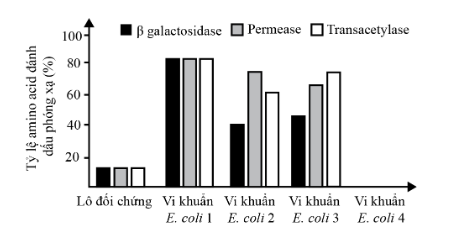 Ảnh có chứa văn bản, ảnh chụp màn hình, Phông chữ, biểu đồ Nội dung do AI tạo ra có thể không chính xác.
