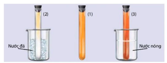 BÀI 1:</b> KHÁI NIỆM VỀ CÂN BẰNG HOÁ HỌC
