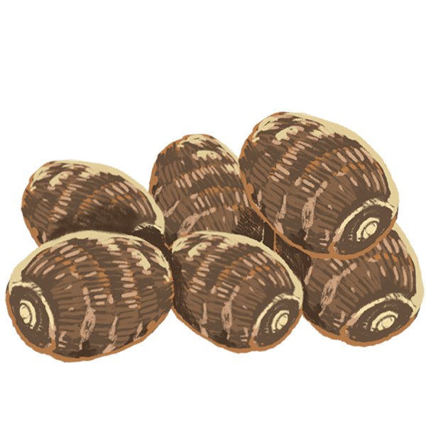 C:\Users\ADMIN\Desktop\TIENG ANH 2\BGD\FLASH CARDS\9.1.png