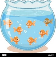 Golden fish in the tank illustration Stock Vector Image & Art - Alamy