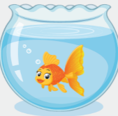 https://bestflashcard.com/images/vocabulary/english/sgk-tieng-anh-3-global-success-unit-16/goldfish.PNG