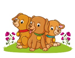 Premium Vector | The three puppy are sitting in the garden of illustration