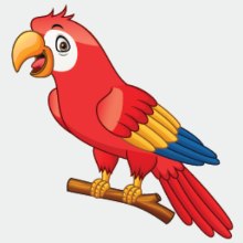 https://bestflashcard.com/images/vocabulary/english/sgk-tieng-anh-3-global-success-unit-16/parrot.PNG