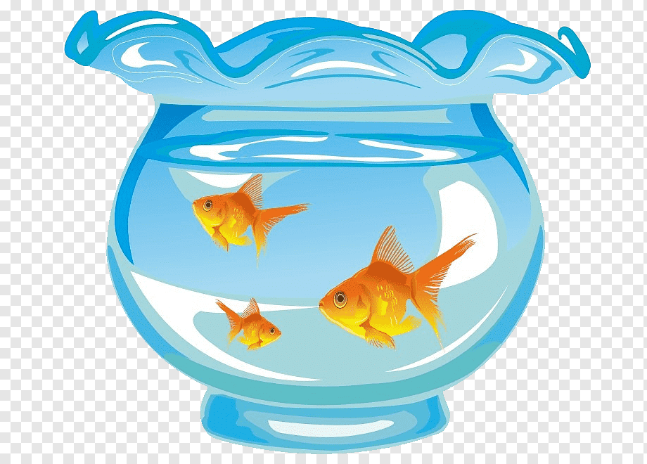 Goldfish Aquarium Fishkeeping, Cute cartoon hand-painted blue and three fish tanks, watercolor Painting, blue, hand png | PNGWing