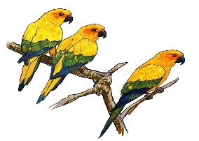 Three Parrots Branch Stock Illustrations – 25 Three Parrots Branch Stock Illustrations, Vectors & Clipart - Dreamstime