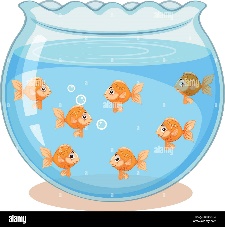 Golden fish in the tank illustration Stock Vector Image & Art - Alamy