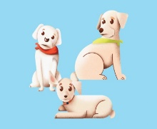 Three Dogs by Dan Jae Smith on Dribbble
