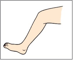 Káº¿t quáº£ hÃ¬nh áº£nh cho leg clipart