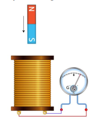 A close-up of a wire Description automatically generated