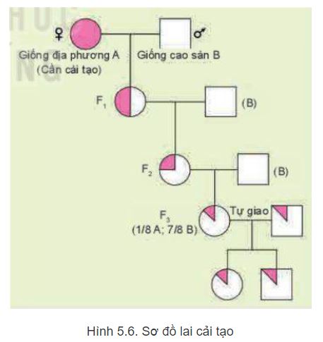 Công nghệ 11 Kết nối tri thức bài 5