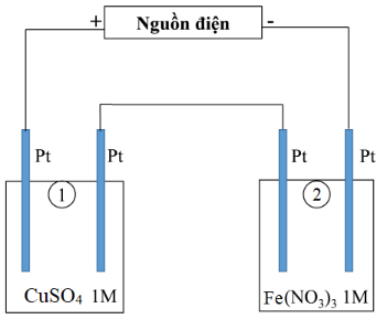 Ảnh có chứa văn bản, biểu đồ, ảnh chụp màn hình, hàng Mô tả được tạo tự động