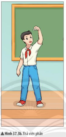 Khi thả viên phấn ở độ cao nào đó thì viên phấn sẽ chuyển động như thế nào