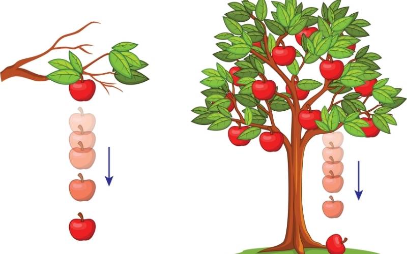 Lực hấp dẫn, định luật vạn vật hấp dẫn, vật lí 10
