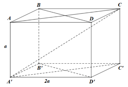 69077693_928905054126761_1600858371349544960_n