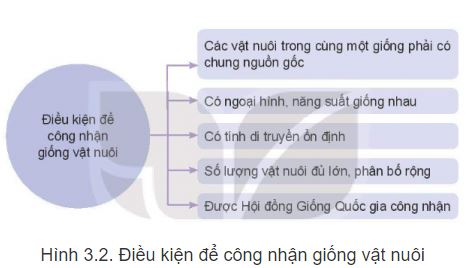 Công nghệ 11 Kết nối tri thức bài 3