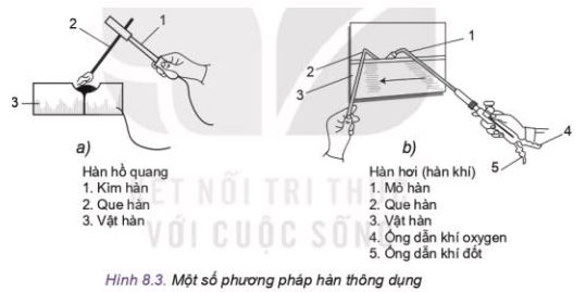 Công nghệ 11 Kết nối tri thức bài 8