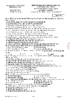 Đề thi học kì 2 lớp 12 môn Lịch sử Sở GD&ĐT Đồng Tháp -  có đáp án