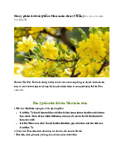 Dàn ý phân tích tác phẩm Mùa xuân chín  -  Ngữ văn 9