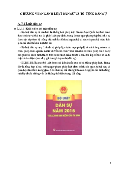 Chương VII "Ngành luật dân sự và tố tụng dân sự"