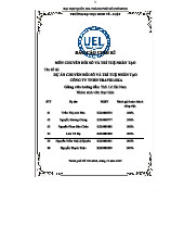 Tiểu luận cuối kỳ: Dự án Chuyển đổi số tại Traveloka (Môn CNTT)