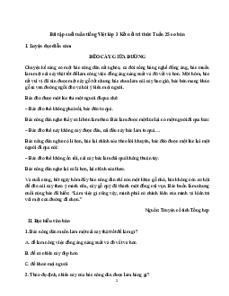 Phiếu bài tập cuối tuần tiếng Việt lớp 3 Tuần 25 | Kết nối tri thức